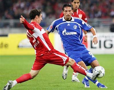 而小蜘蛛的 而小蜘蛛的